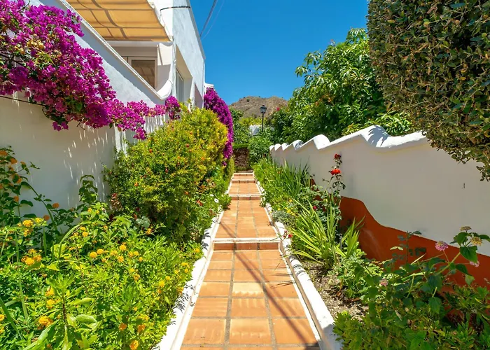 Aguacates Bellavista Casasol