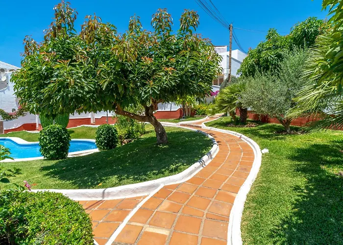 Aguacates Bellavista Casasol