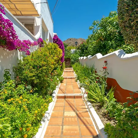 Aguacates Bellavista Casasol