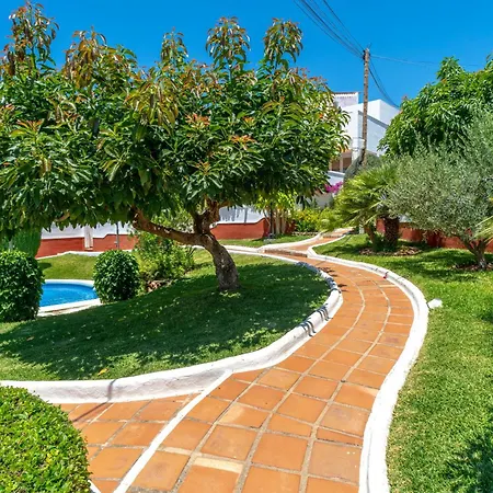 Aguacates Bellavista Casasol