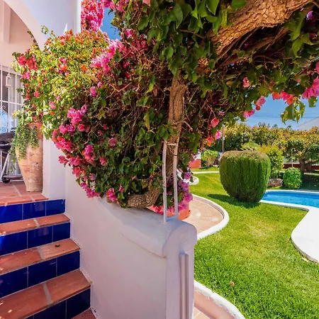 Aguacates Bellavista Casasol Nerja