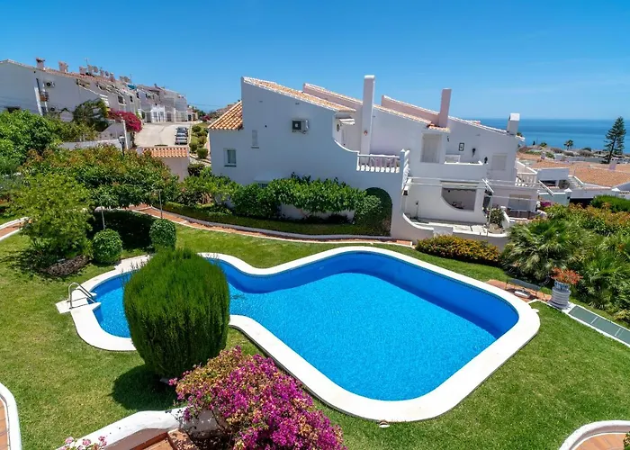 Aguacates Bellavista Casasol *