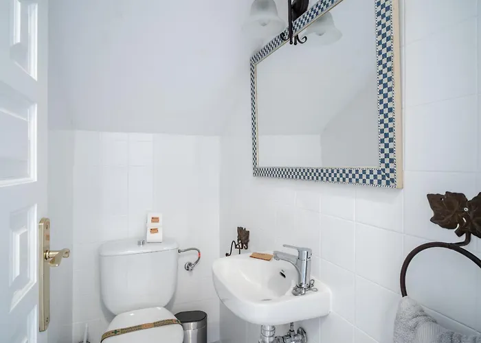 Aguacates Bellavista Casasol