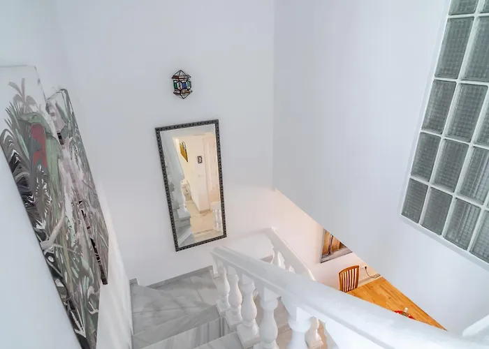 Aguacates Bellavista Casasol *